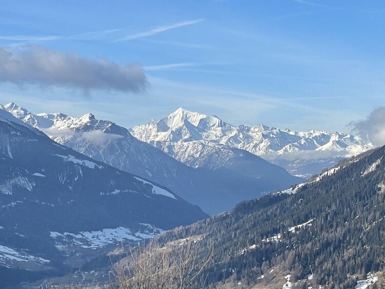 Live-update 157836