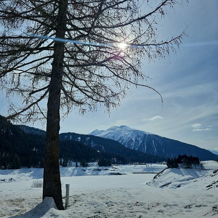 Live-update 157210