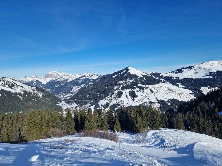Live-update 132396