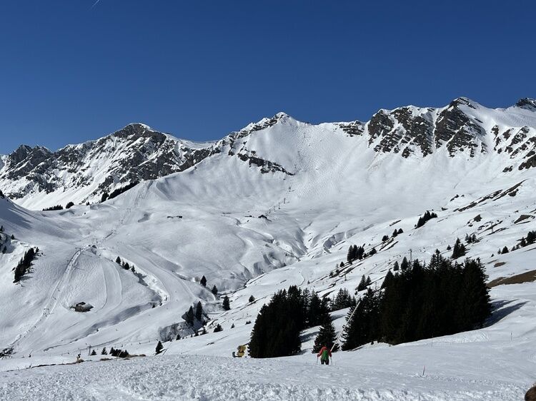 Live-update 158353