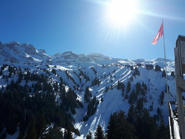 Live-update 95909