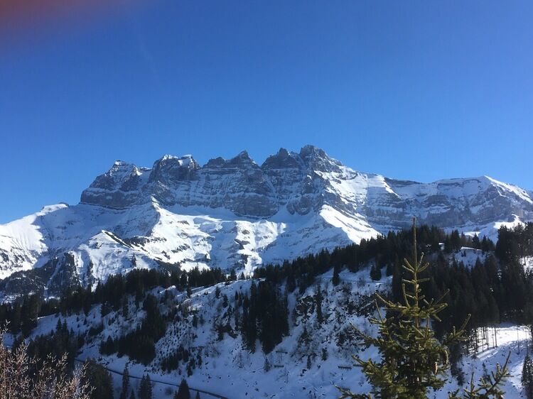 Live-update 95077