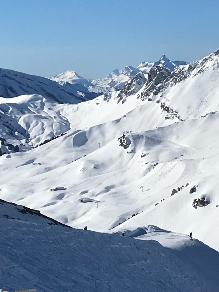 Live-update 95088