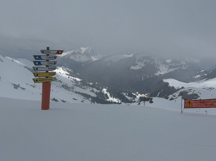 Live-update 159538