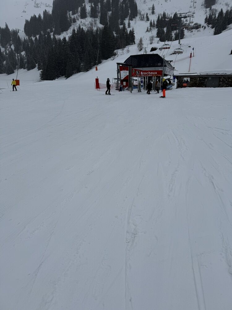 Live-update 159629