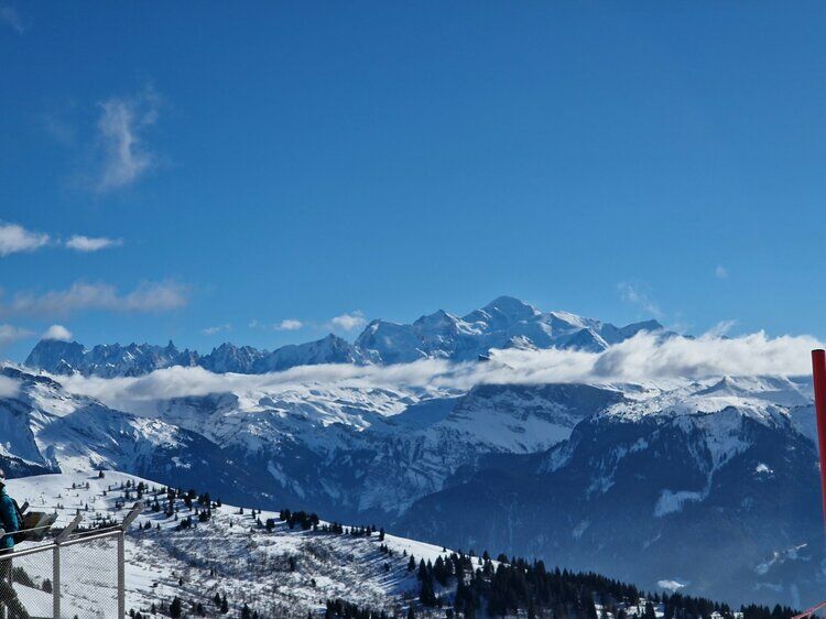 Live-update 132539