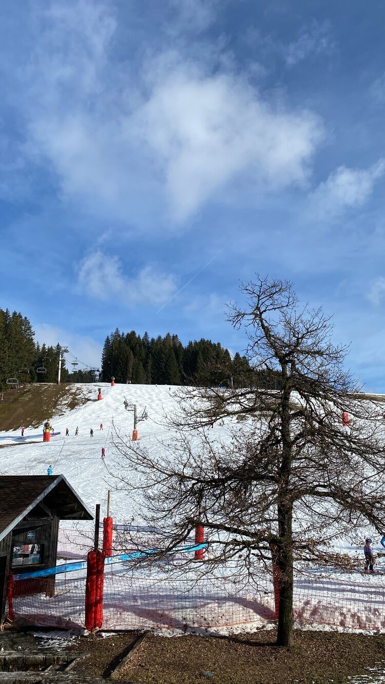 Live-update 137079