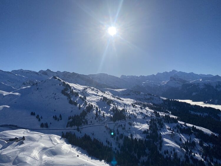 Live-update 155651