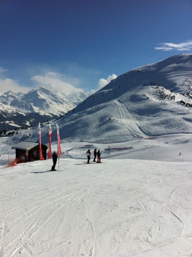 Live-update 8229
