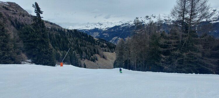 Live-update 136498