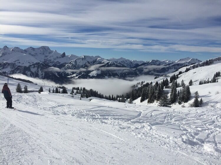 Live-update 87805