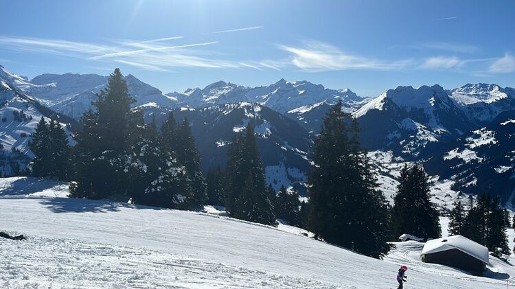 Live-update 155484