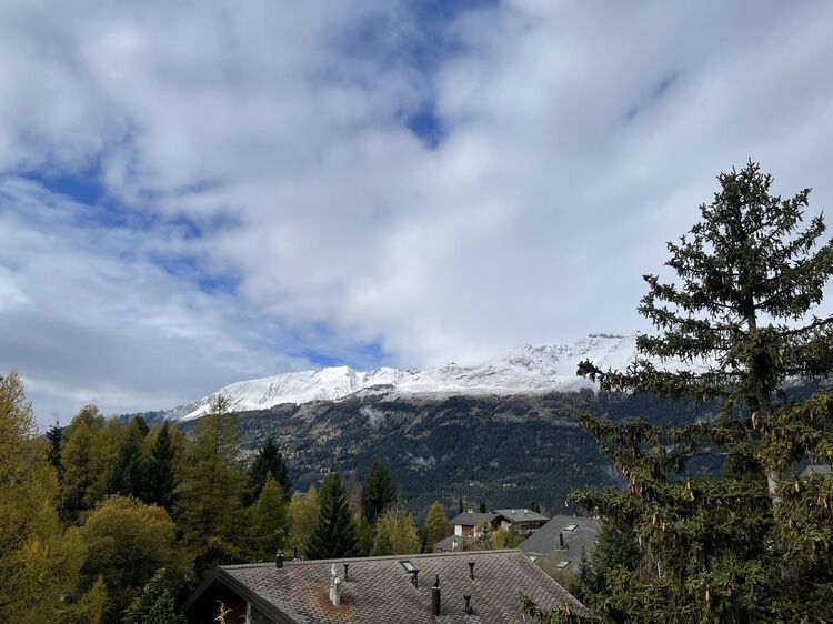 Live-update 125202