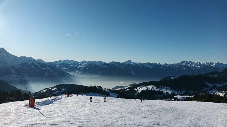 Live-update 152513