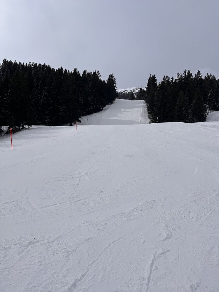 Live-update 134490