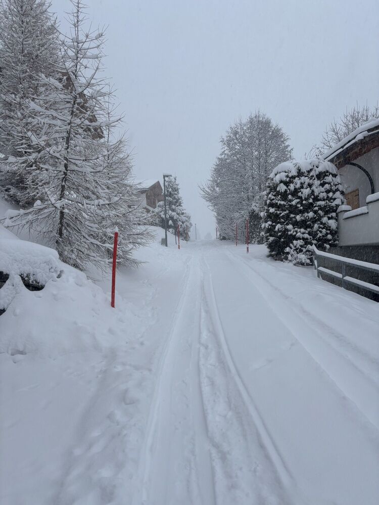 Live-update 151157