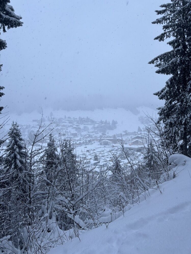 Live-update 151363