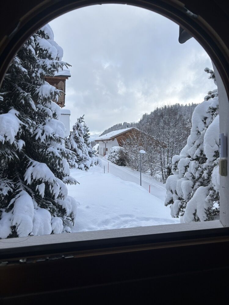 Live-update 151493