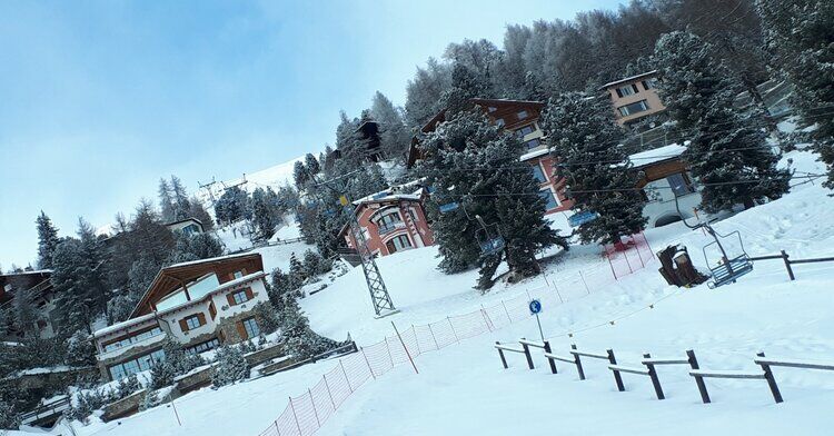 Live-update 117348