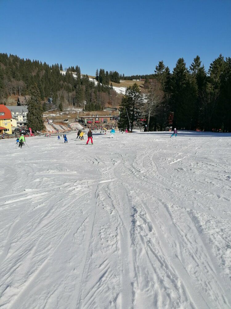 Live-update 133885