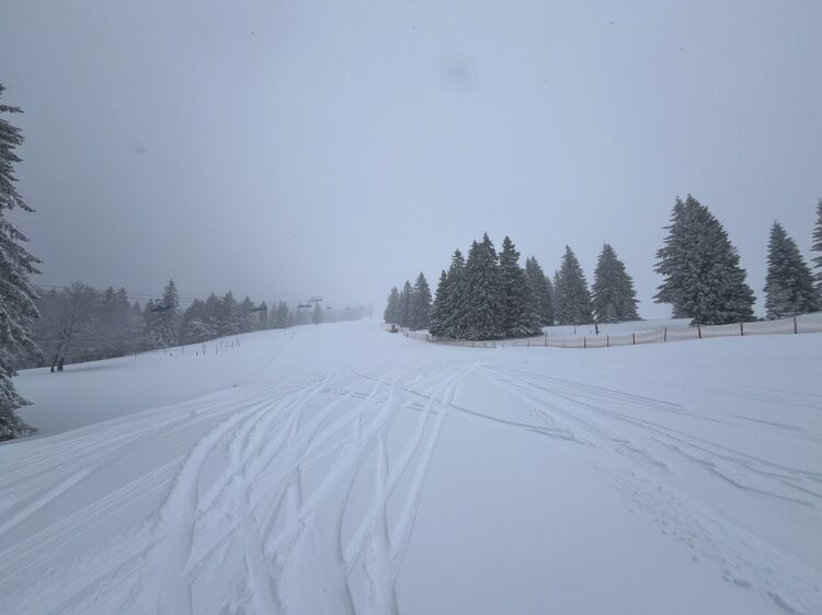 Live-update 157550