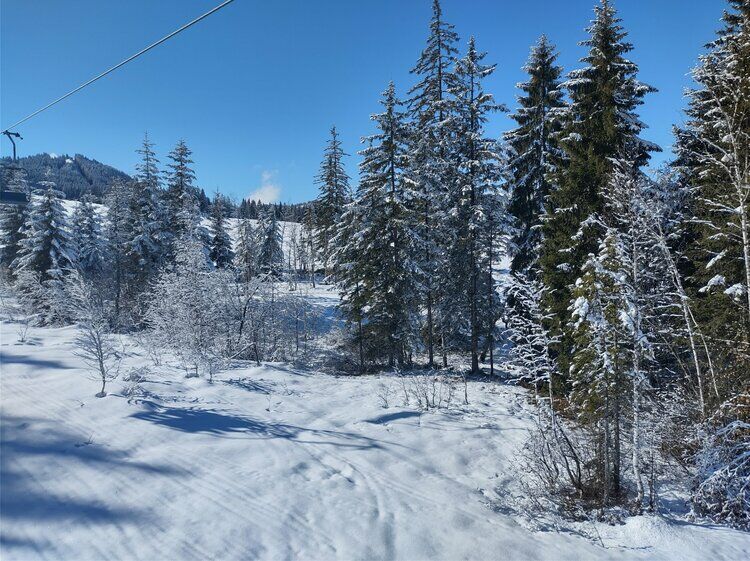 Live-update 157720