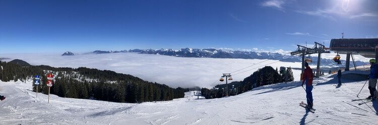 Live-update 157018