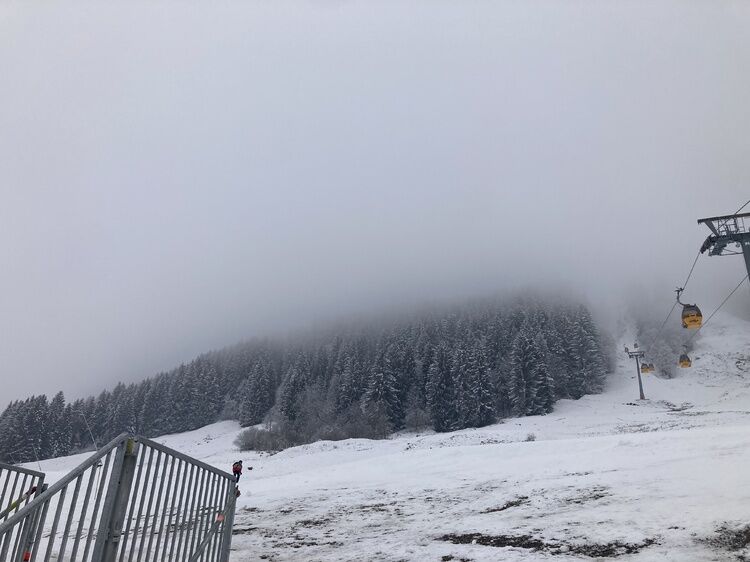 Live-update 157019