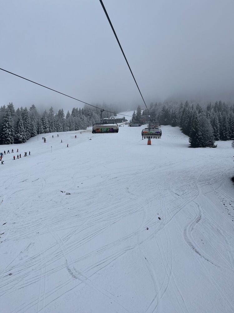 Live-update 148444