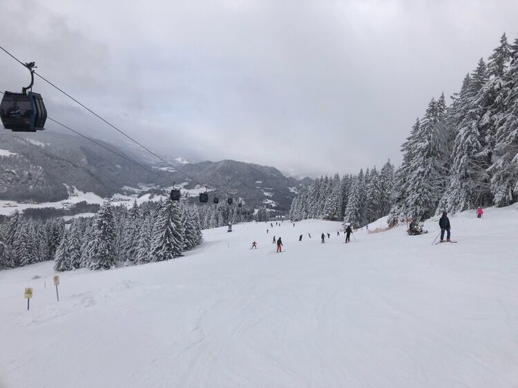 Live-update 134523