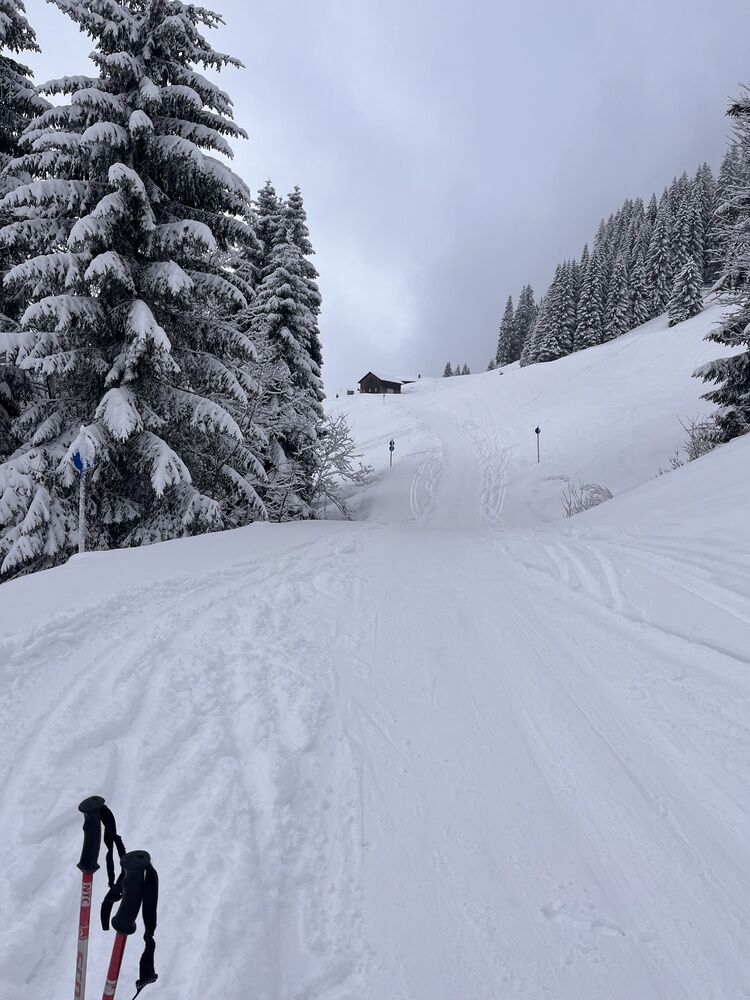 Live-update 134383