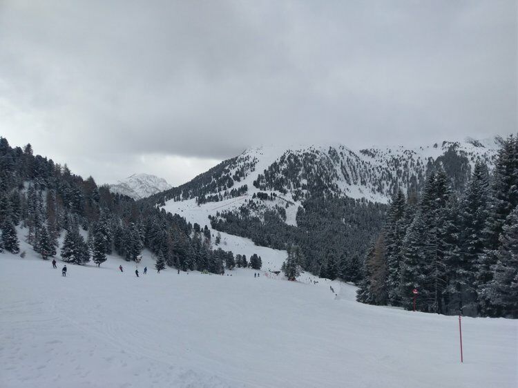 Live-update 76223