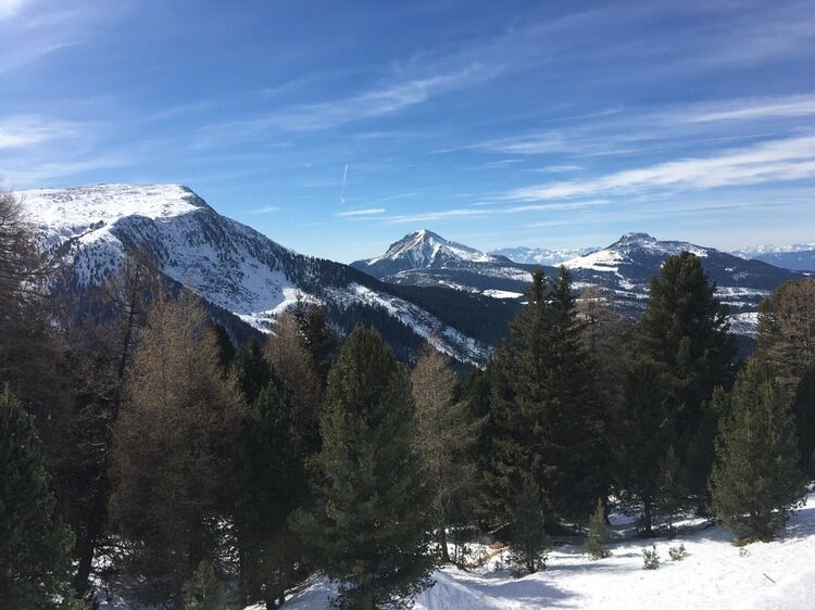 Live-update 97689