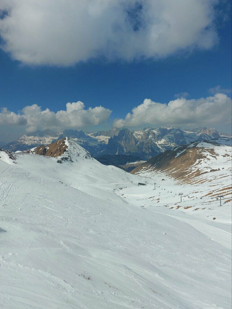 Live-update 137705