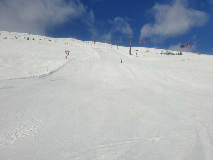 Live-update 157009