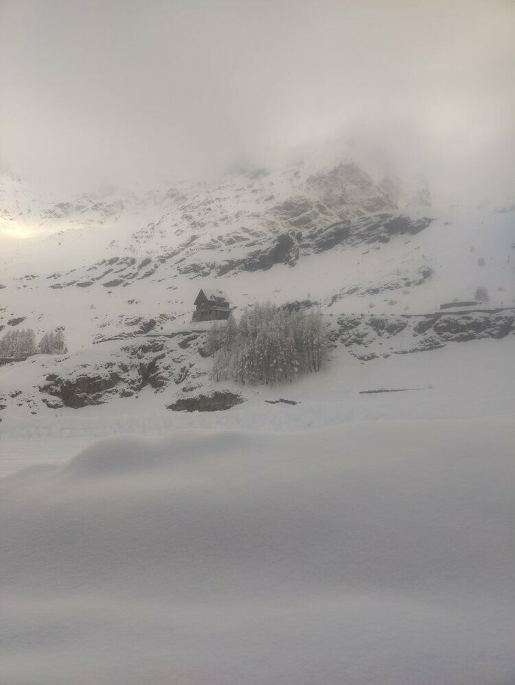 Live-update 137003