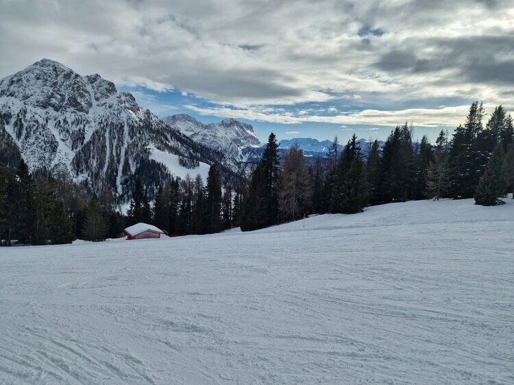 Live-update 156339