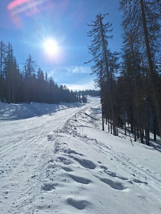 Live-update 156763