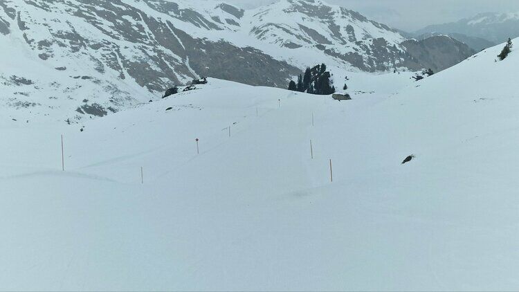 Live-update 135900