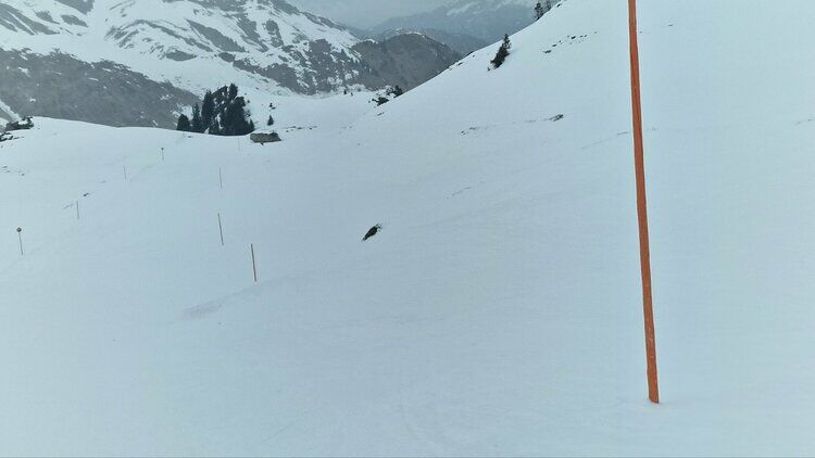 Live-update 135901