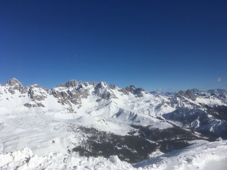 Live-update 76681
