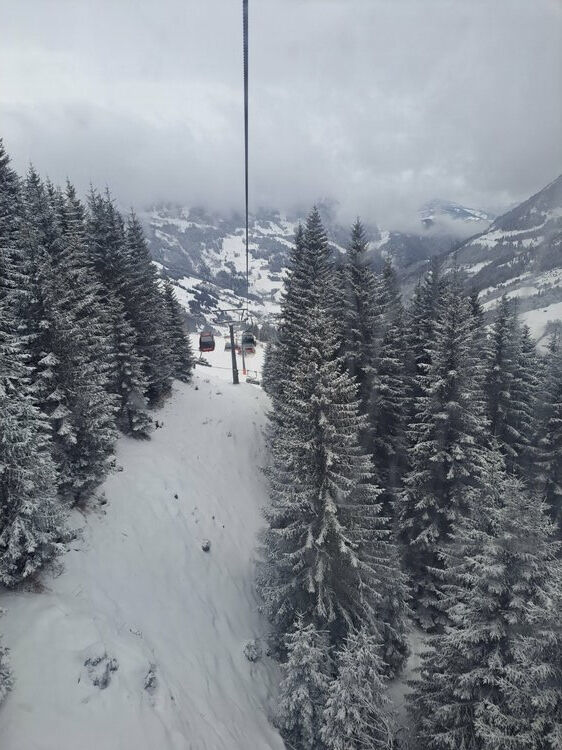 Live-update 153492