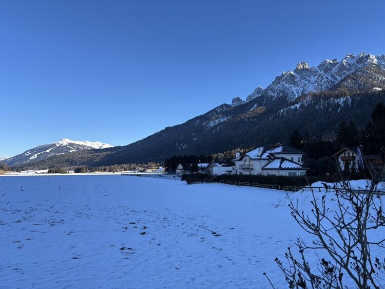 Live-update 155576