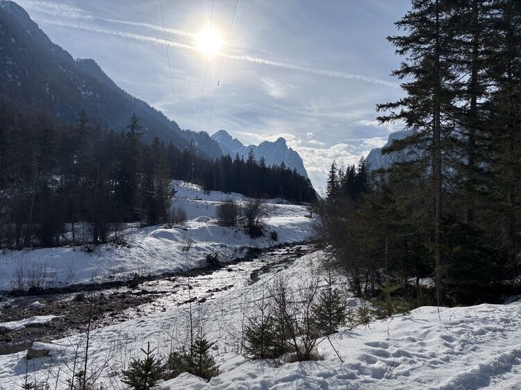 Live-update 155763