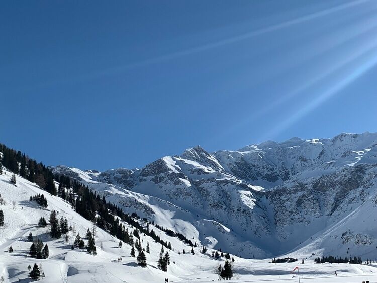 Live-update 95455