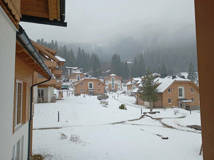 Live-update 135896