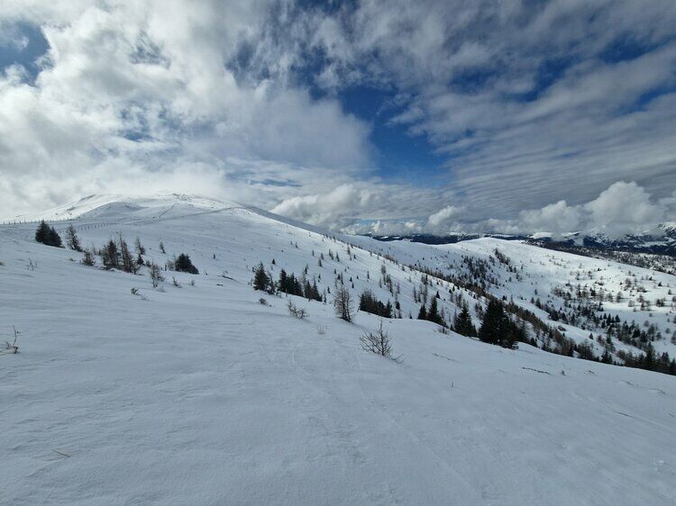 Live-update 159473