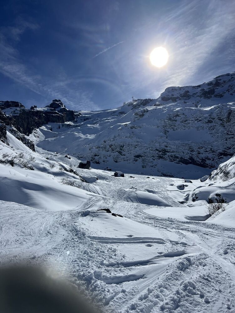 Live-update 137361