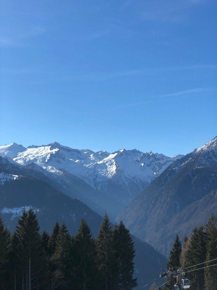 Live-update 96483