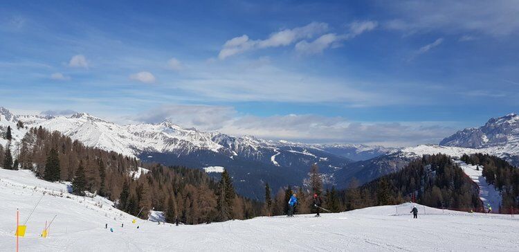 Live-update 98462